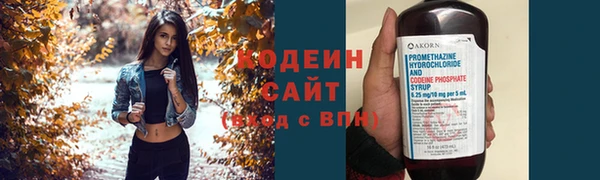 молекула духа Касимов