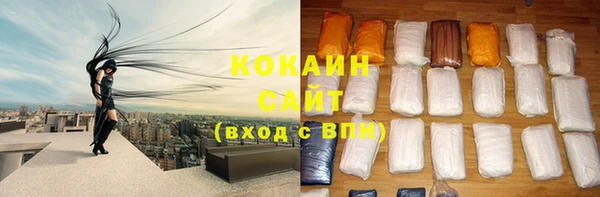 молекула духа Касимов