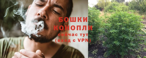 молекула духа Касимов
