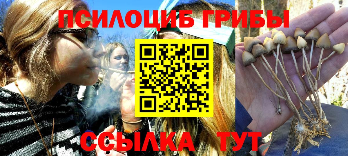 Псилоцибиновые грибы ЛСД  Вход с VPN  Галлюциногенные грибы мицелий  Черемхово 